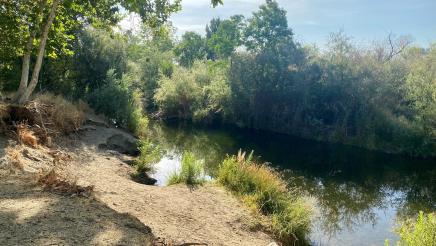 A photo of the San Joaquin River the morning of the July 23, 2021 news conference.